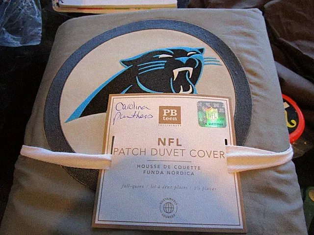 Pottery Barn Teen Football Carolina Panthers NFL gray duvet full queen New w tag
